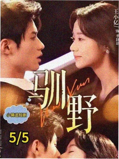 欧美剧盐湖镇谜案海报