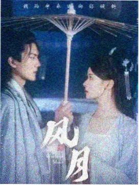 欧美剧双面辩护人海报